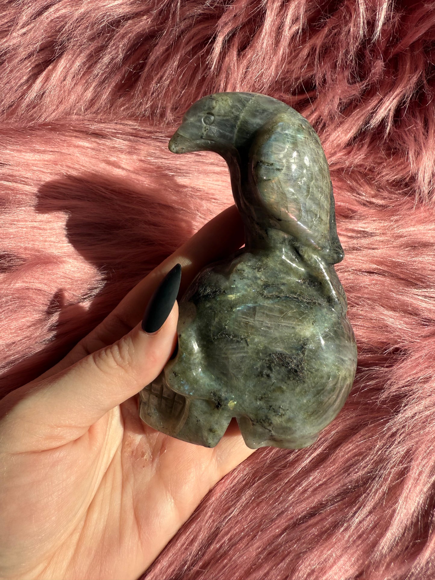 Stunning High Quality Labradorite Skull with Bird Carving