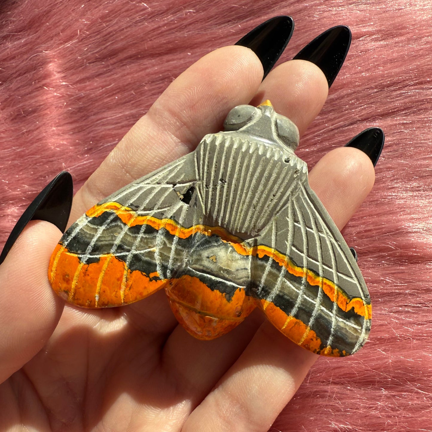 Stunning Bumblebee Jasper Cicada Carving