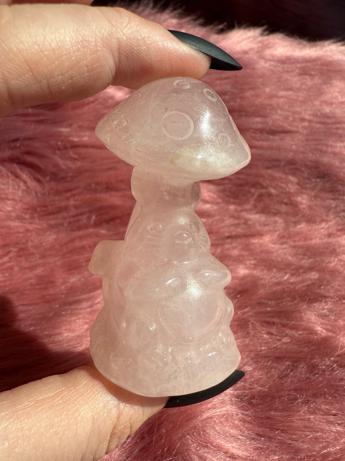 Stunning High Quality Rose Quartz Mushroom with Tototro Carving