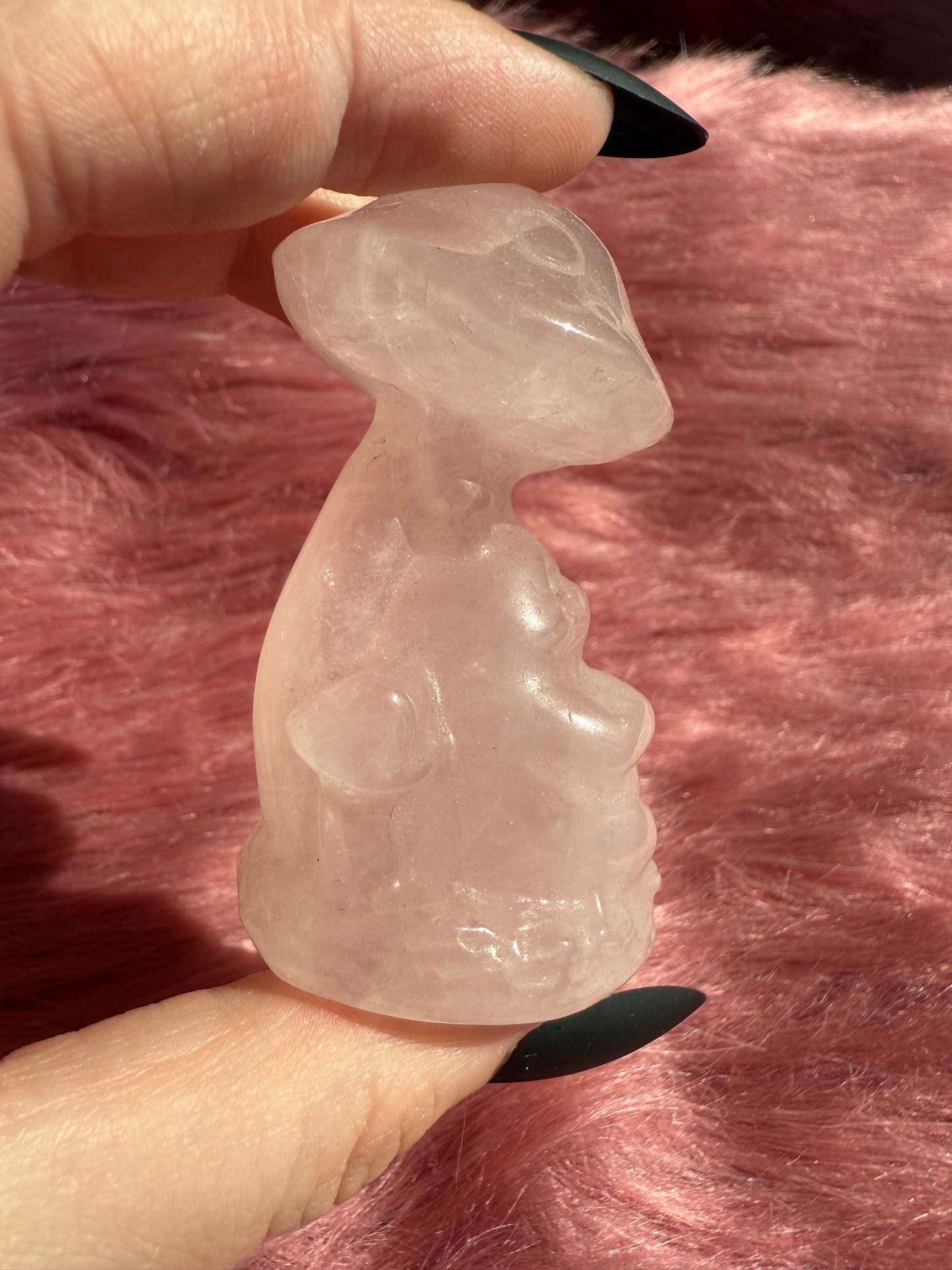 Stunning High Quality Rose Quartz Mushroom with Tototro Carving