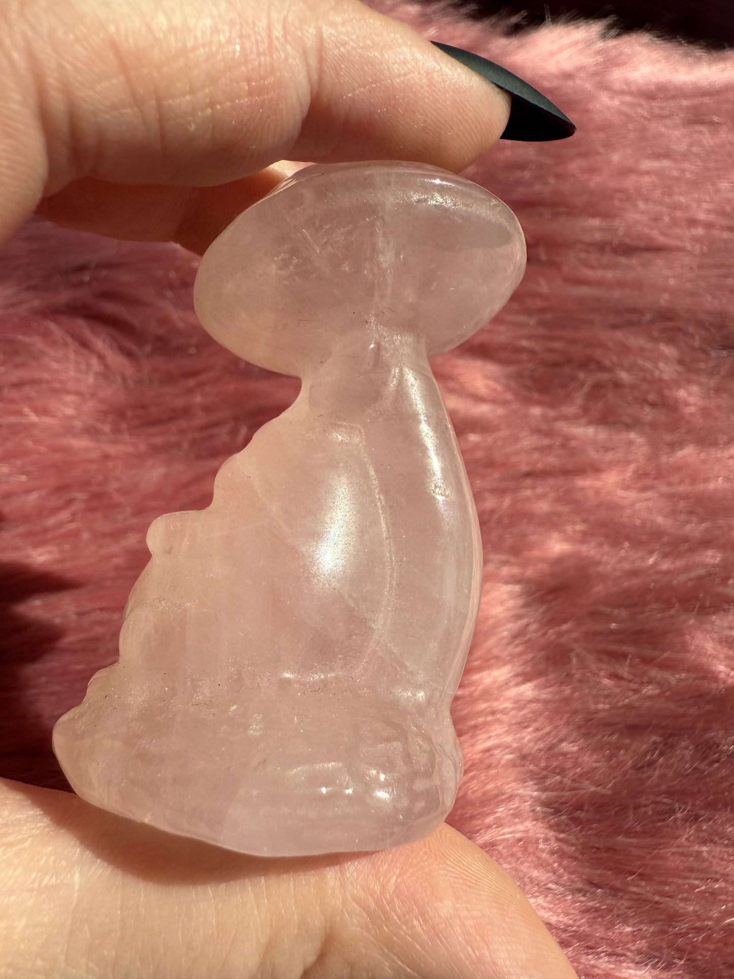 Stunning High Quality Rose Quartz Mushroom with Tototro Carving
