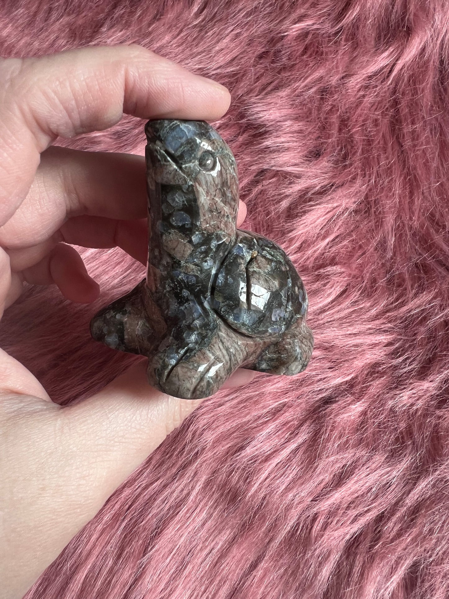 Stunning High Quality Small Que Sera Turtle Carving