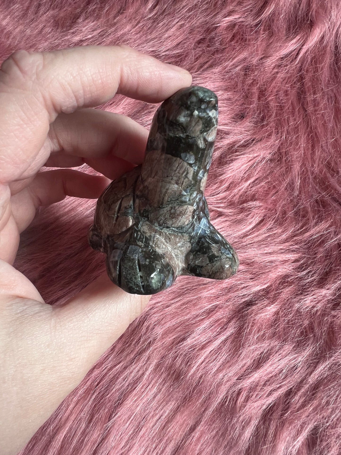 Stunning High Quality Small Que Sera Turtle Carving
