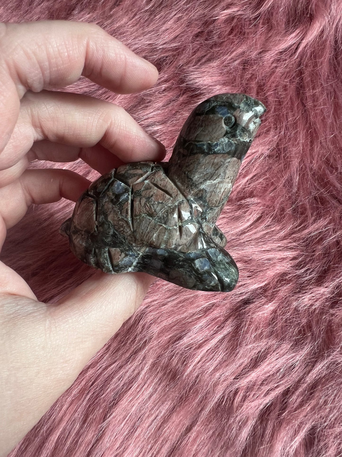 Stunning High Quality Small Que Sera Turtle Carving