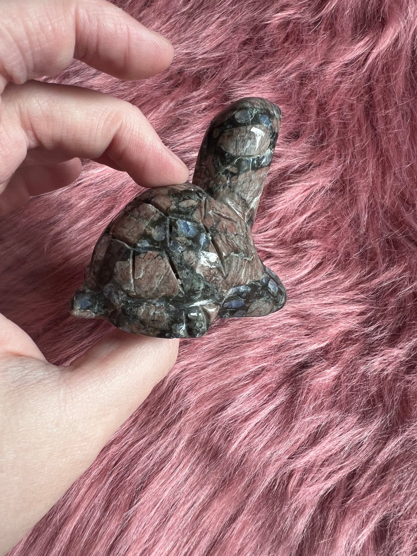 Stunning High Quality Small Que Sera Turtle Carving