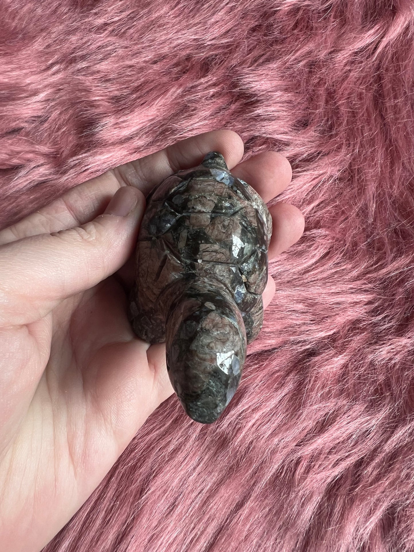 Stunning High Quality Small Que Sera Turtle Carving