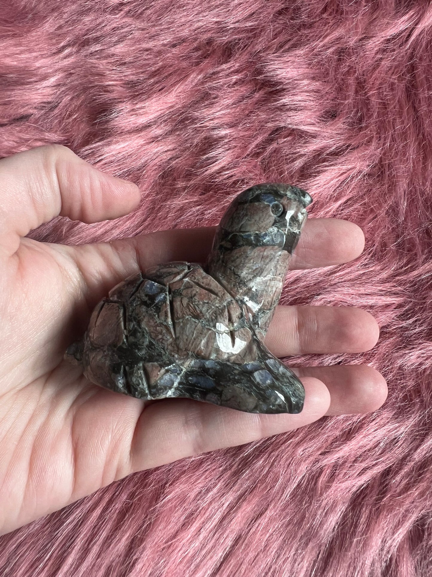 Stunning High Quality Small Que Sera Turtle Carving