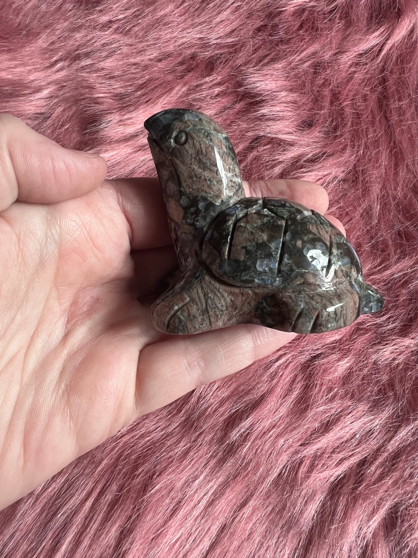 Stunning High Quality Small Que Sera Turtle Carving