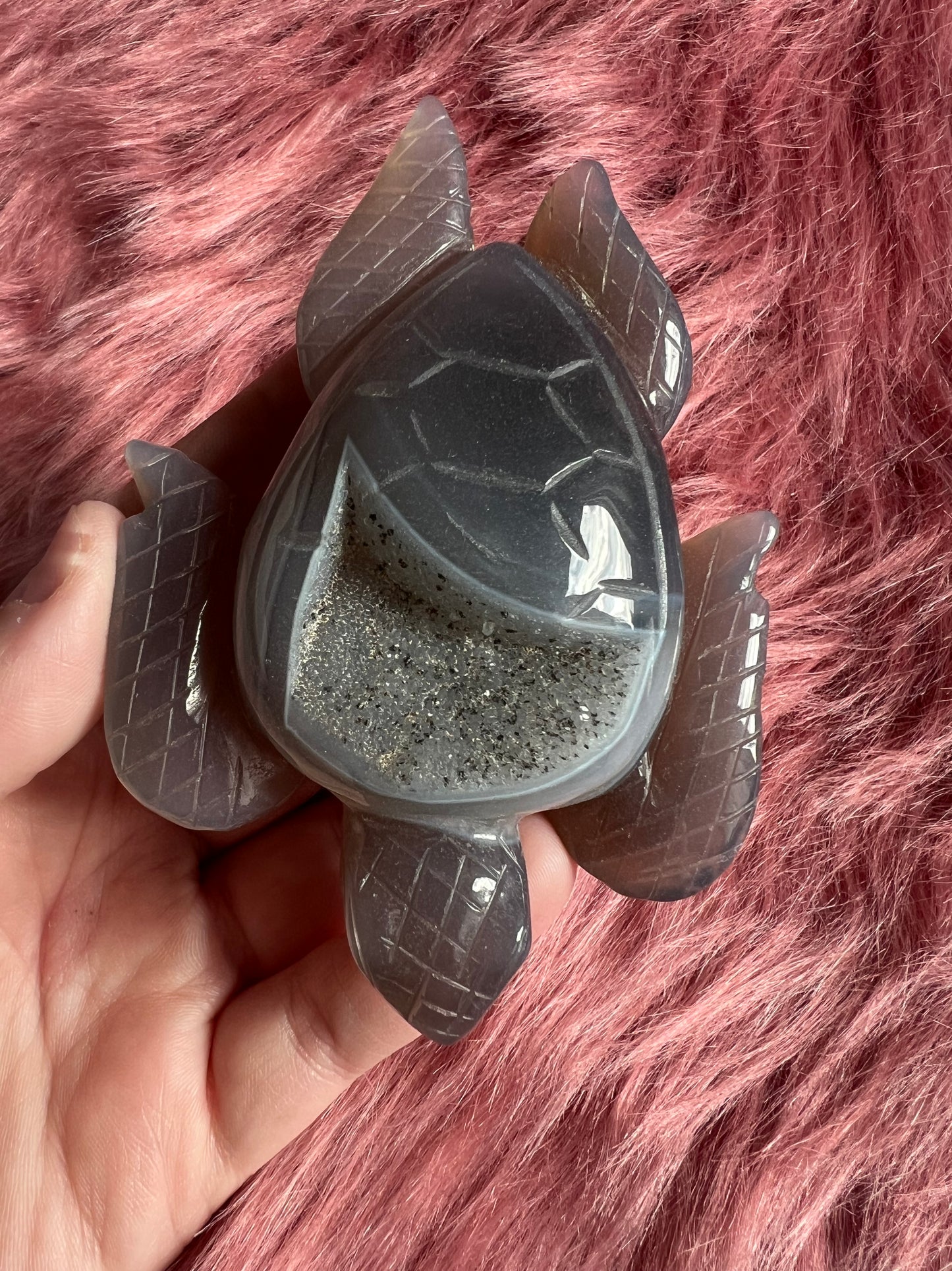 Stunning High Quality Small Druzy Agate Turtle Carving