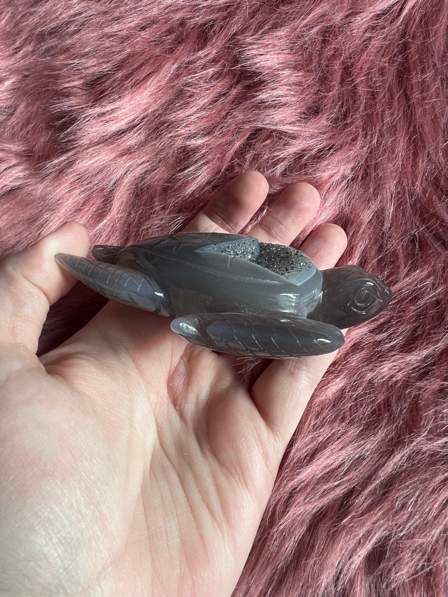 Stunning High Quality Small Druzy Agate Turtle Carving
