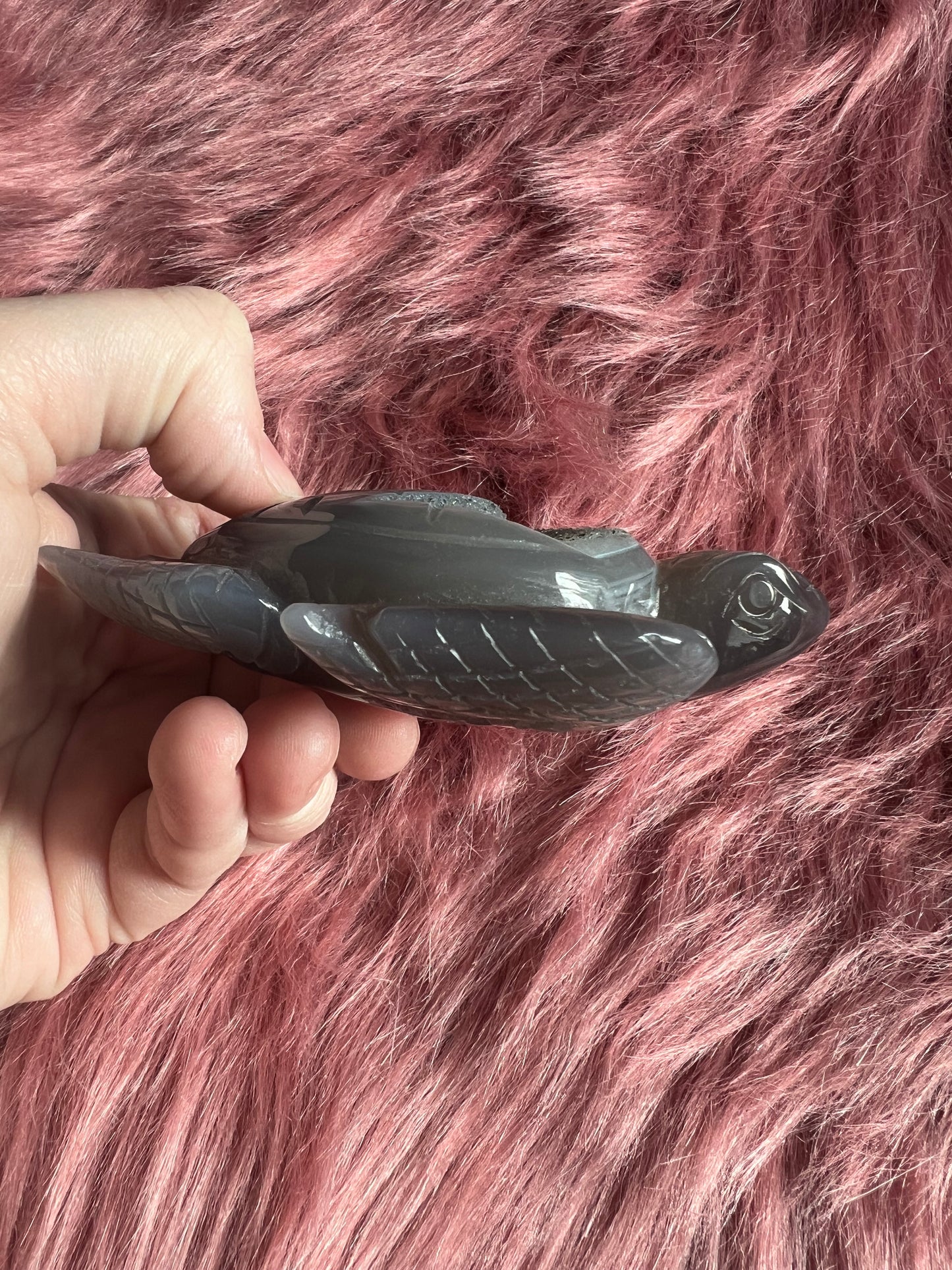 Stunning High Quality Small Druzy Agate Turtle Carving