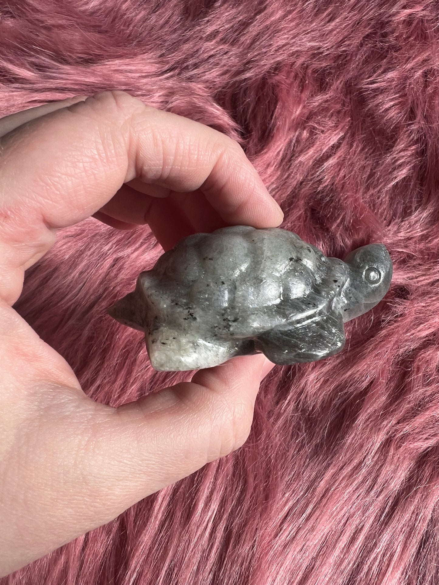 Stunning High Quality Small Labradorite Turtle Carving