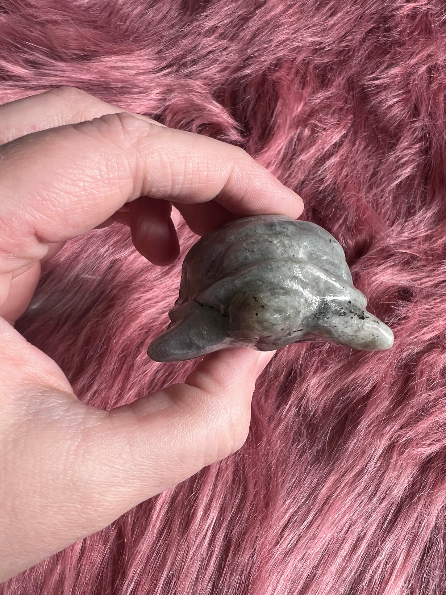 Stunning High Quality Small Labradorite Turtle Carving