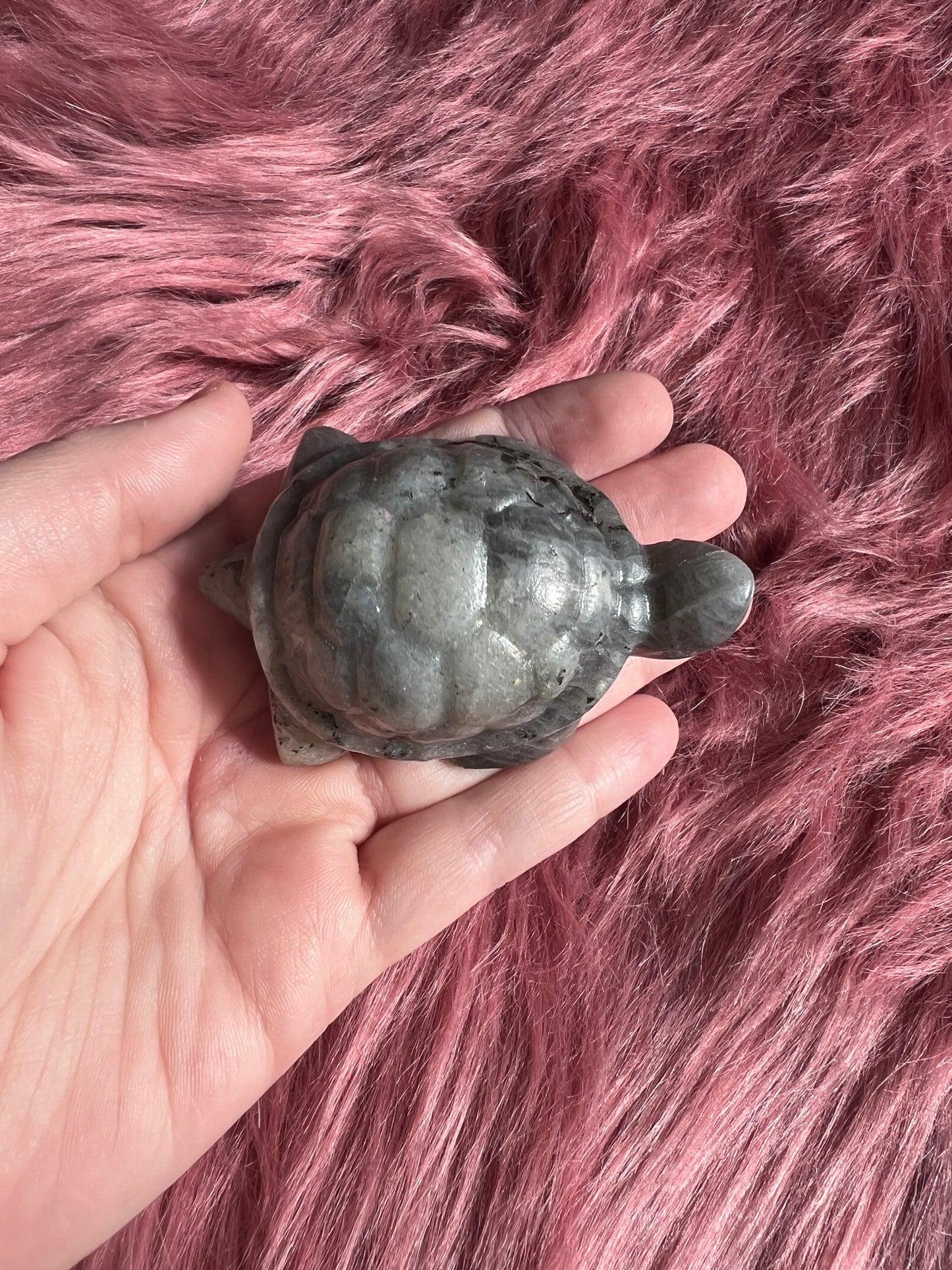 Stunning High Quality Small Labradorite Turtle Carving
