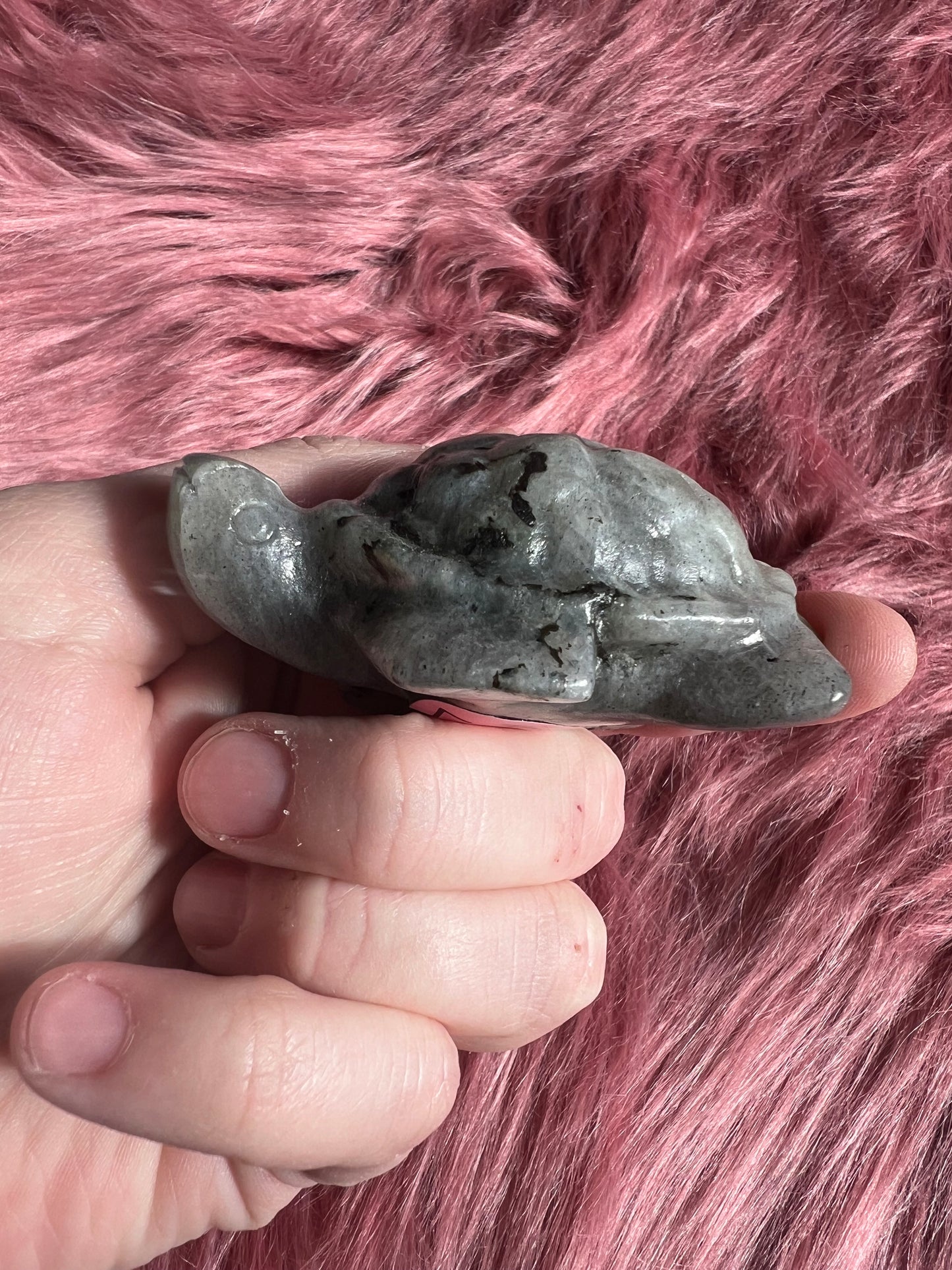 Stunning High Quality Small Labradorite Turtle Carving