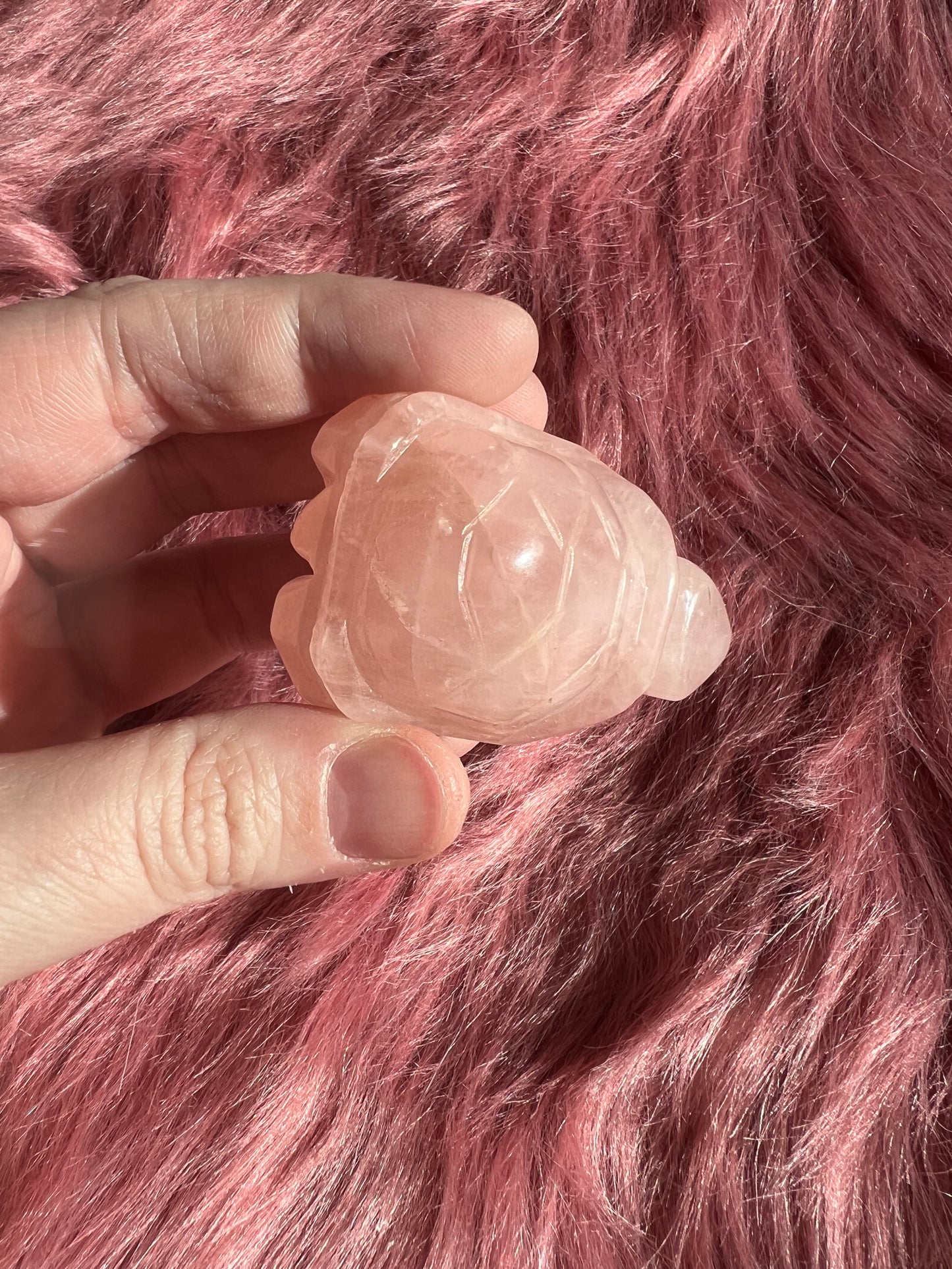 Stunning High Quality Small Rose Quartz Turtle Carving