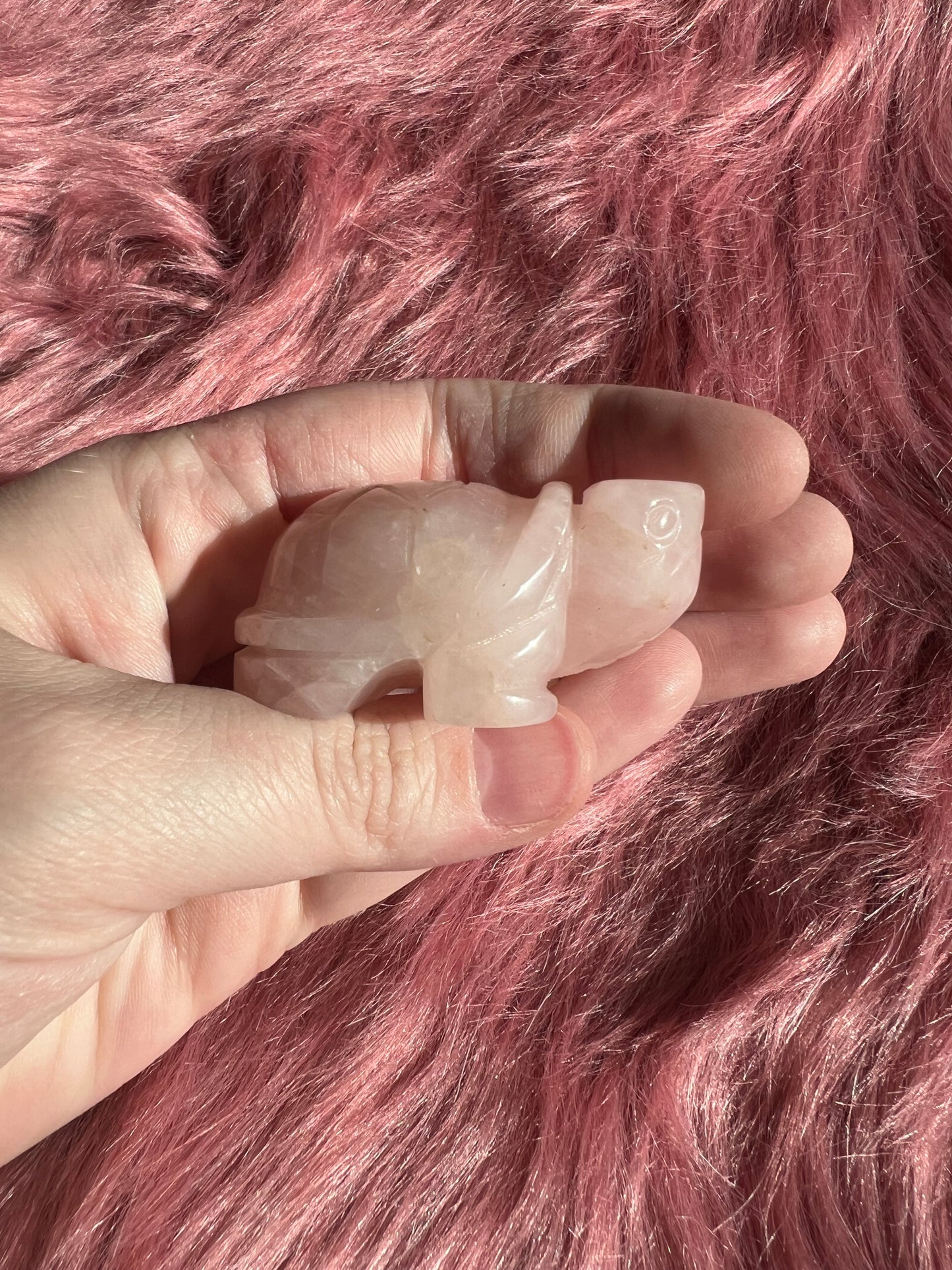 Stunning High Quality Small Rose Quartz Turtle Carving