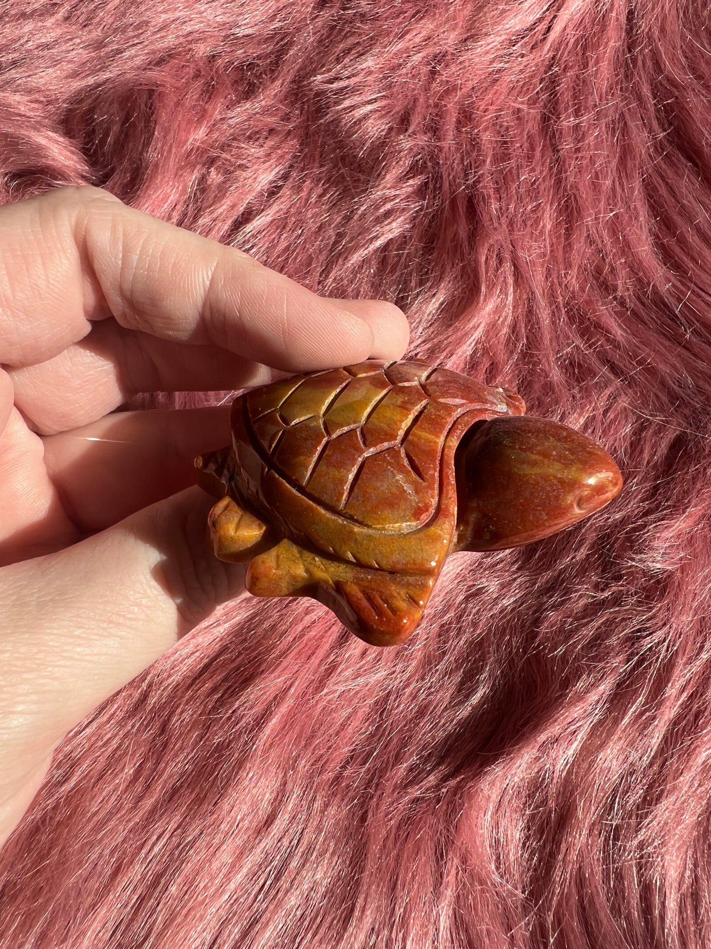 Stunning High Quality Small Mookaite Jasper Turtle Carving