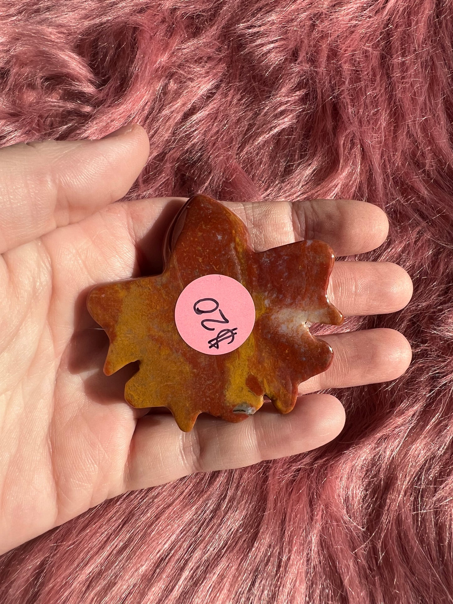 Stunning High Quality Small Mookaite Jasper Turtle Carving