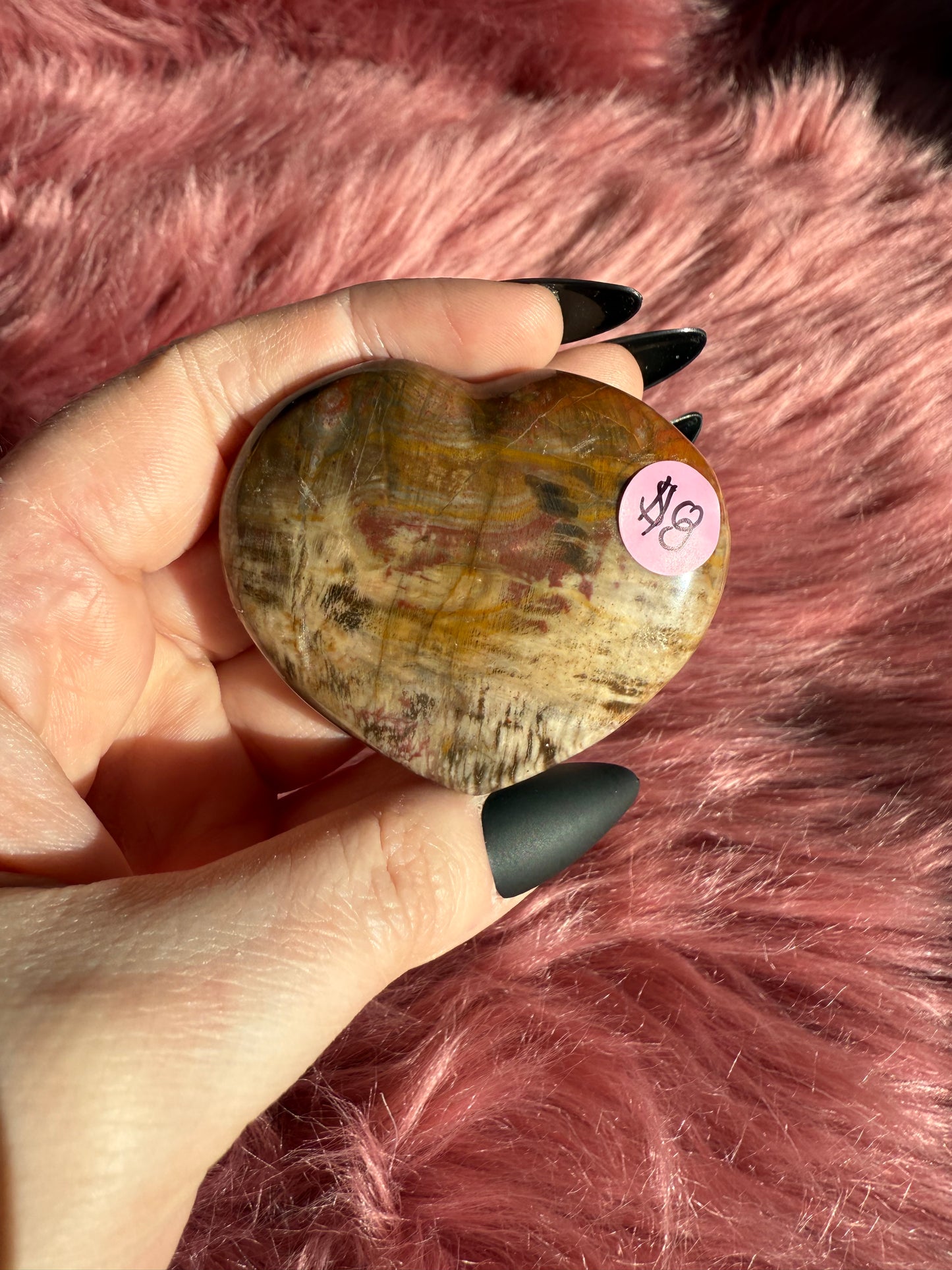 Stunning Petrified Wood Heart Carving