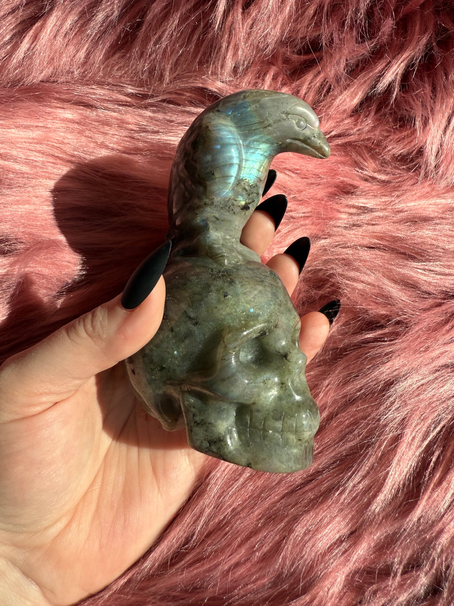 Stunning High Quality Labradorite Skull with Bird Carving