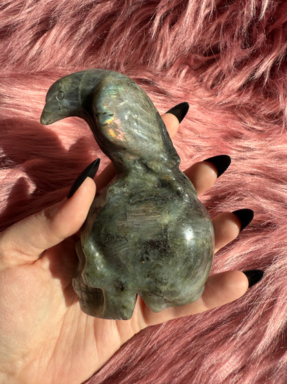 Stunning High Quality Labradorite Skull with Bird Carving