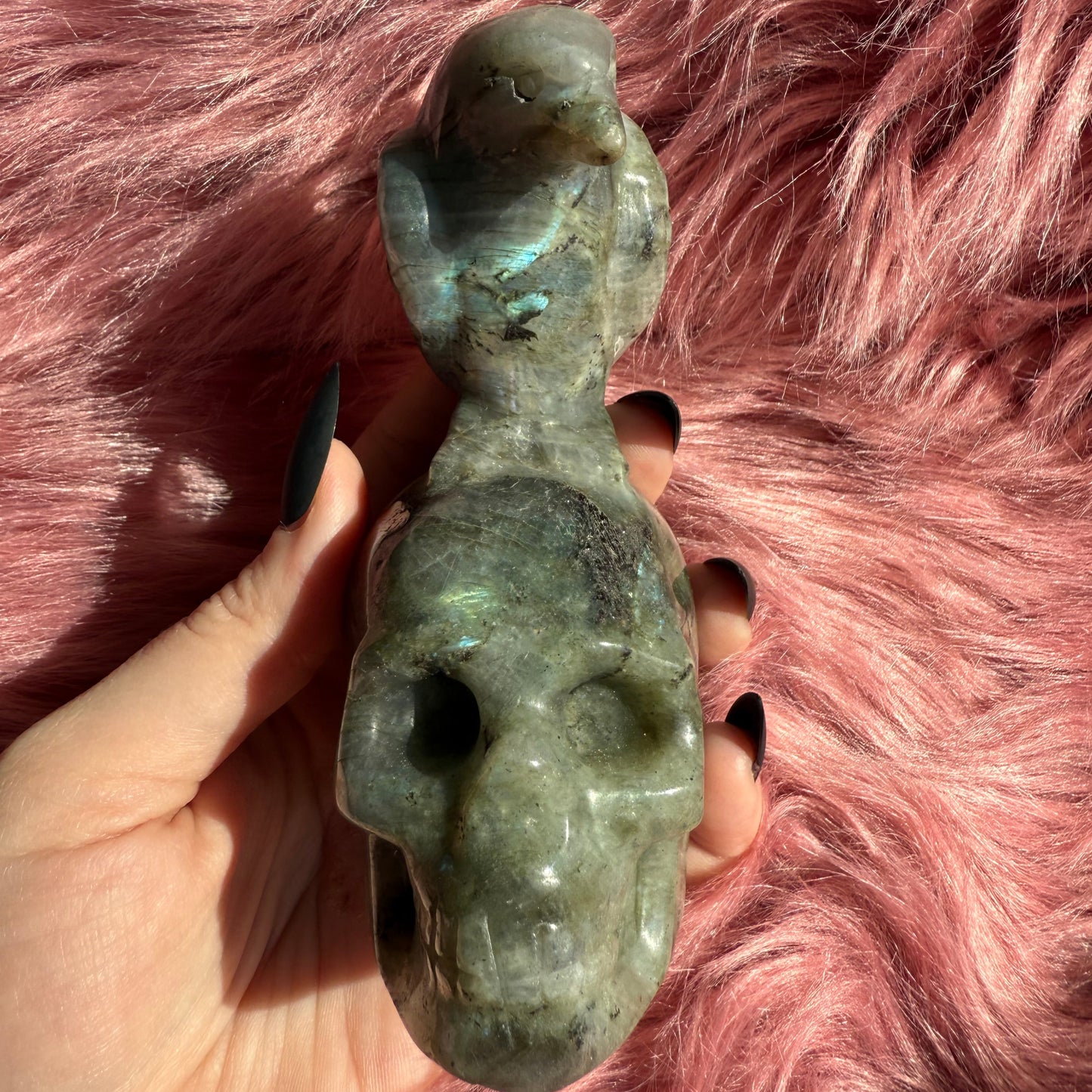 Stunning High Quality Labradorite Skull with Bird Carving