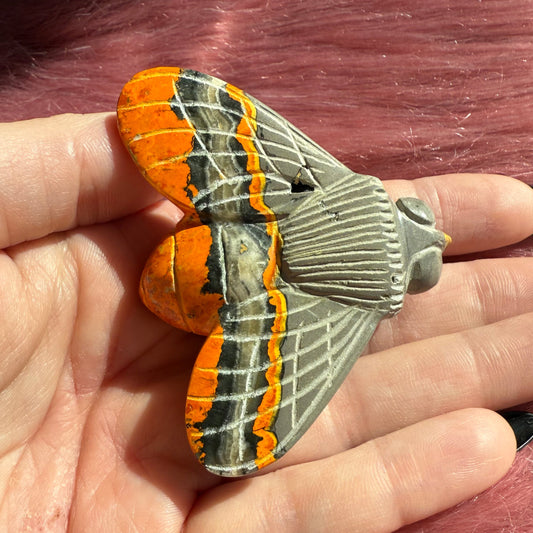 Stunning Bumblebee Jasper Cicada Carving