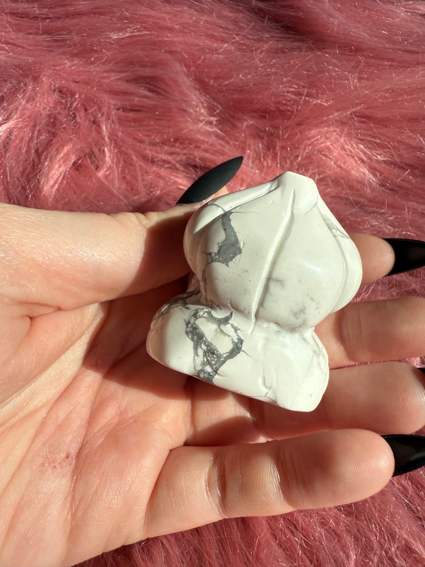 Stunning High Quality Howlite Bulbasaur Carving