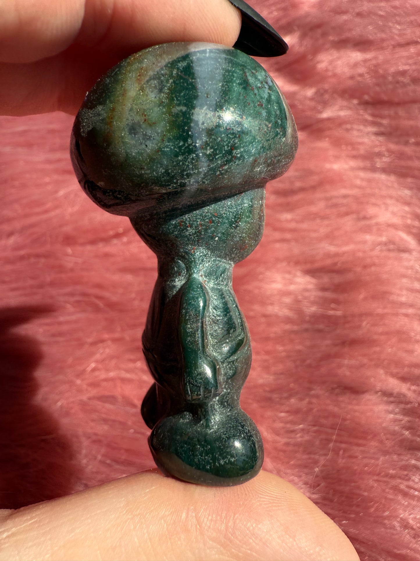 Stunning High Quality Sea (Ocean) Jasper Toad Carving