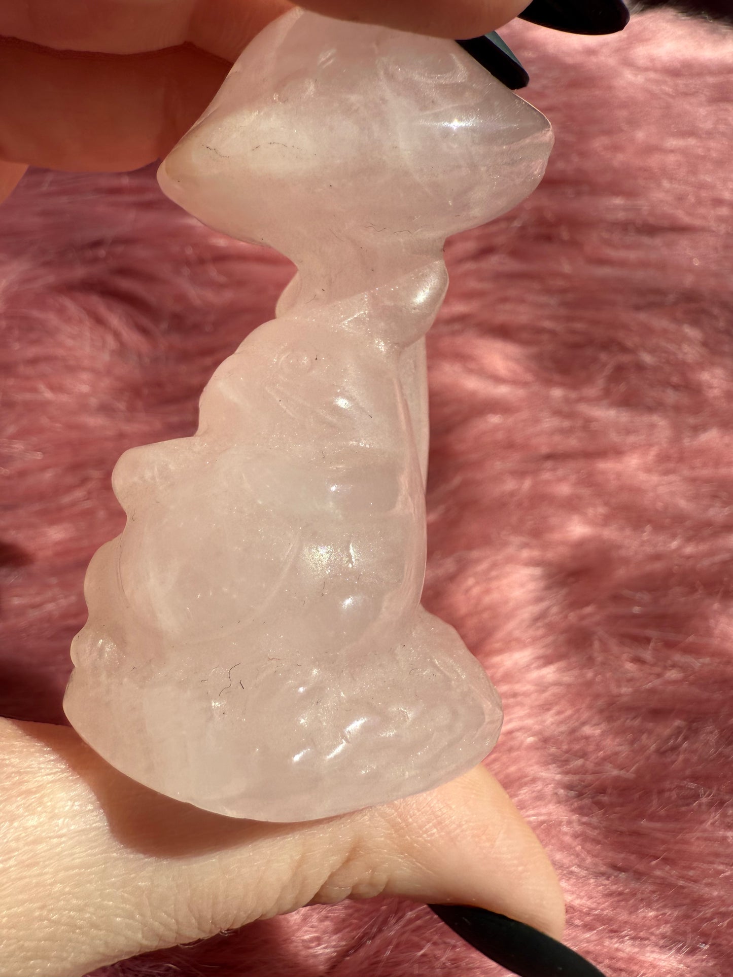 Stunning High Quality Rose Quartz Mushroom with Tototro Carving