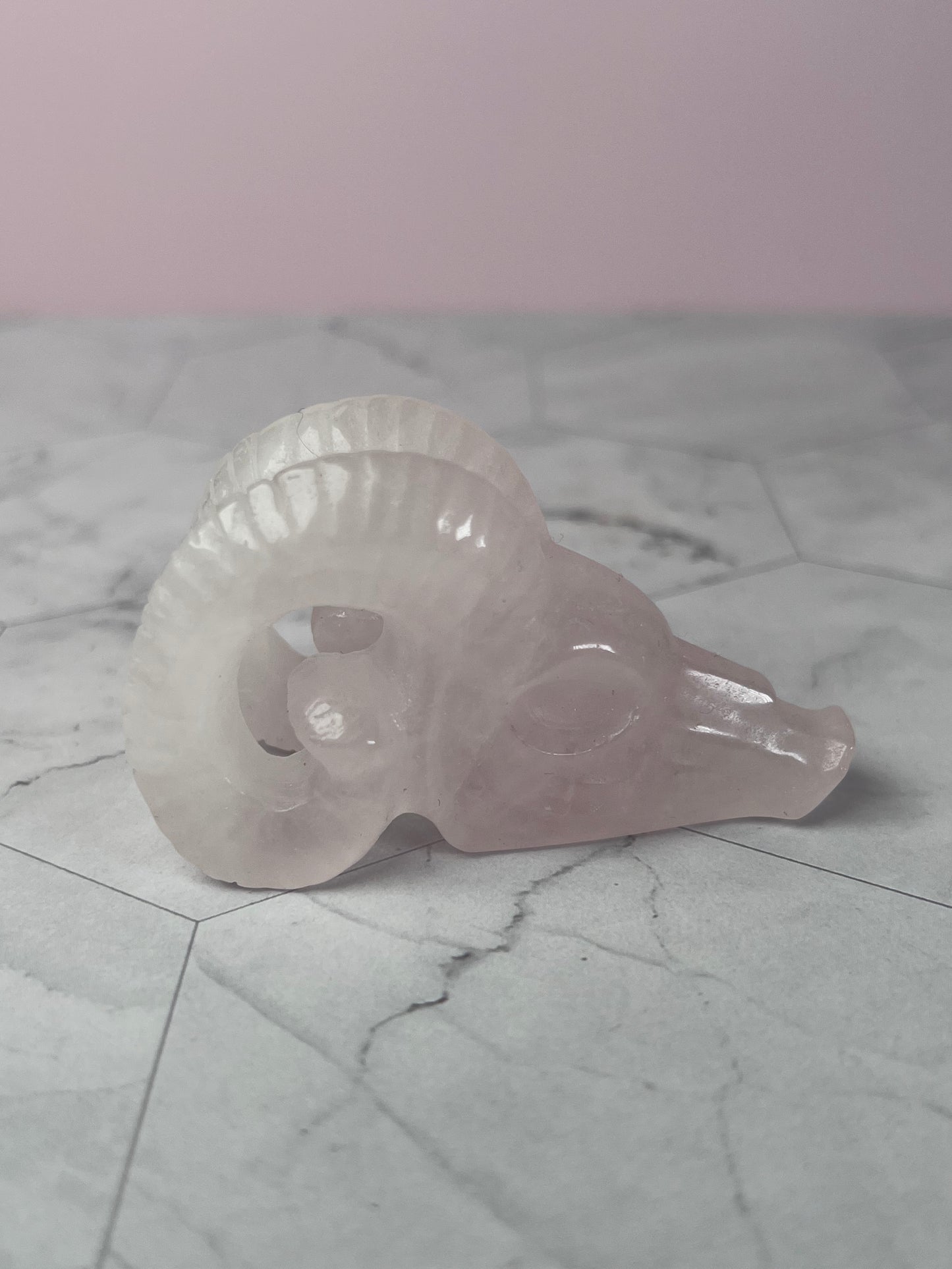 ONE (1) Stunning High Quality Rose Quartz Ram Skull