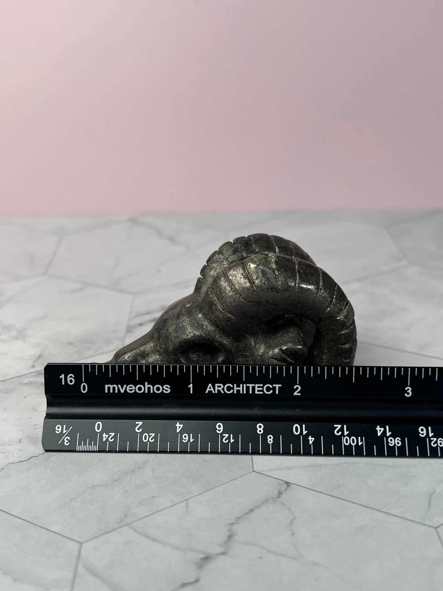 ONE (1) Stunning High Quality Pyrite Ram Skull