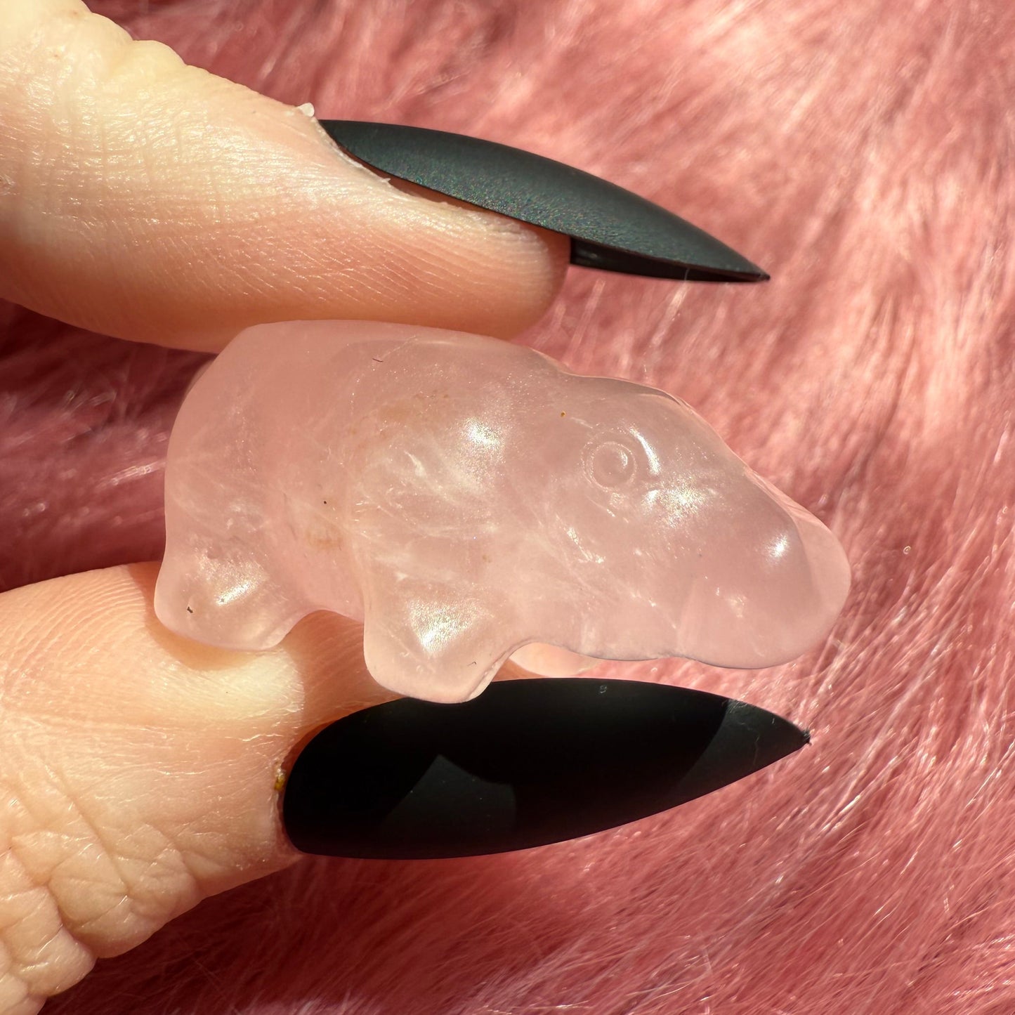 Stunning High Quality Mini Crystal Carving - Platypus