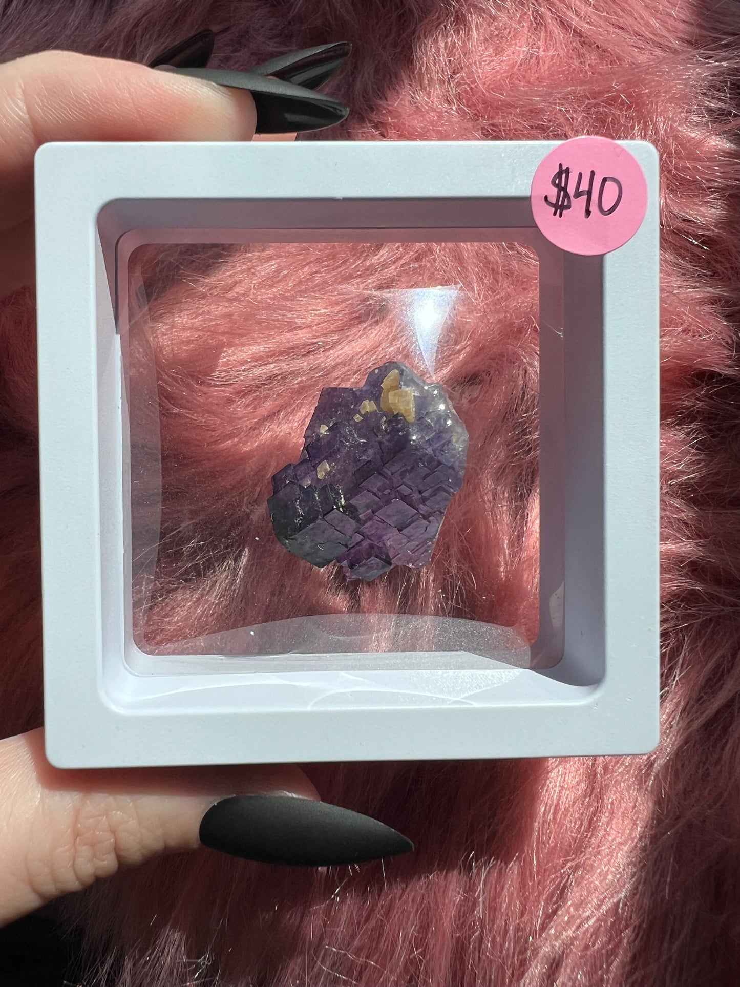 ONE (1) Stunning Fluorite Specimen with Case