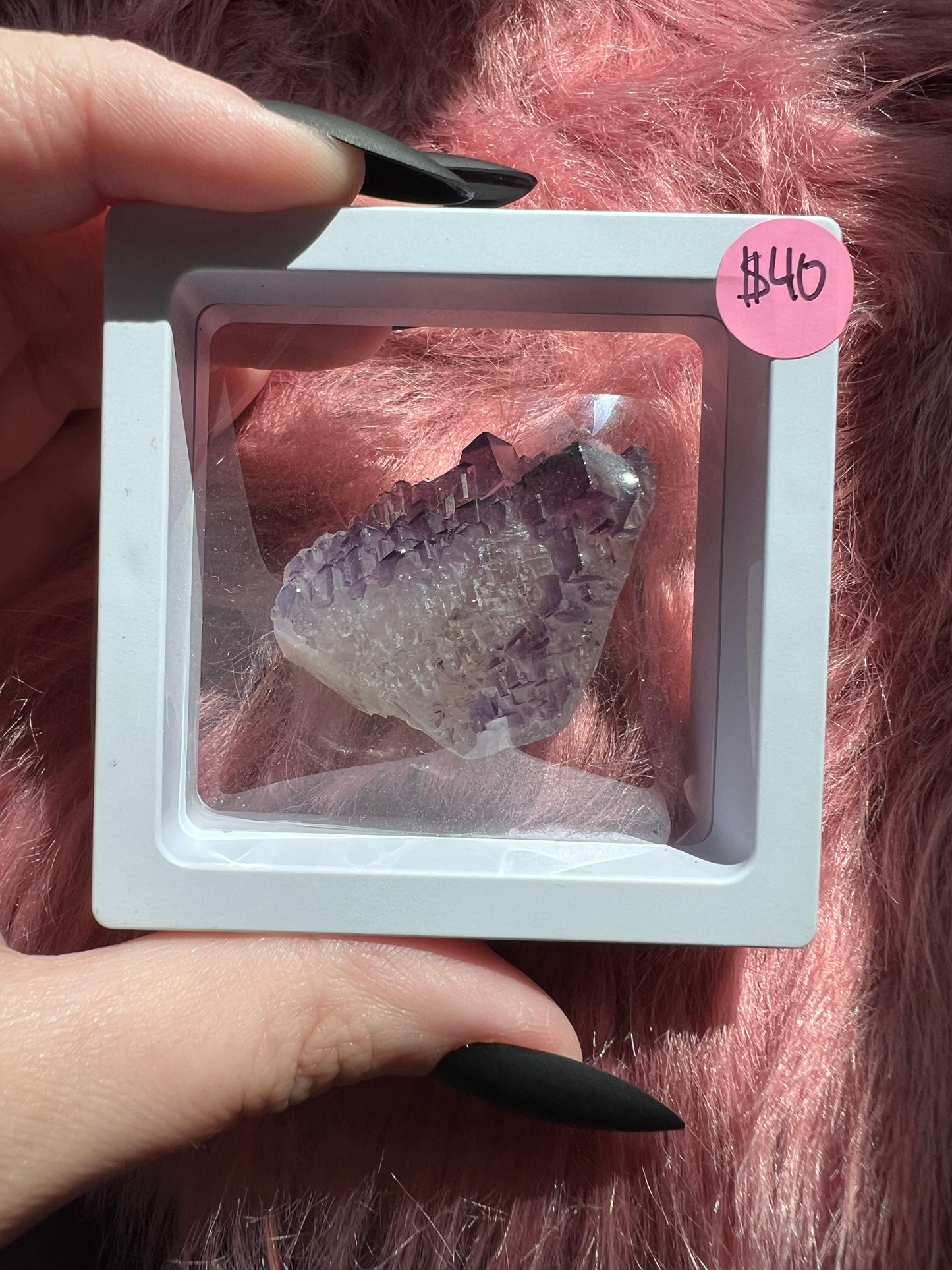 ONE (1) Stunning Fluorite Specimen with Case