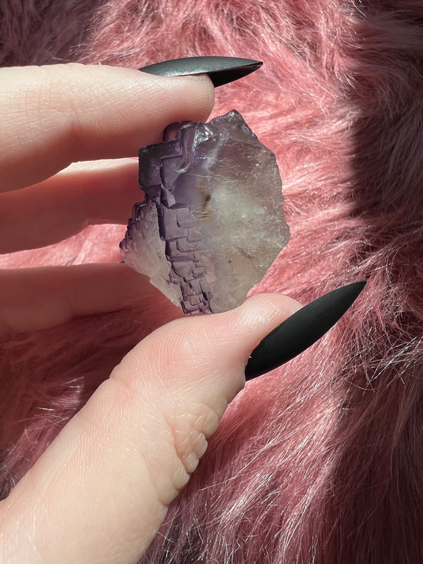 ONE (1) Stunning Fluorite Specimen with Case