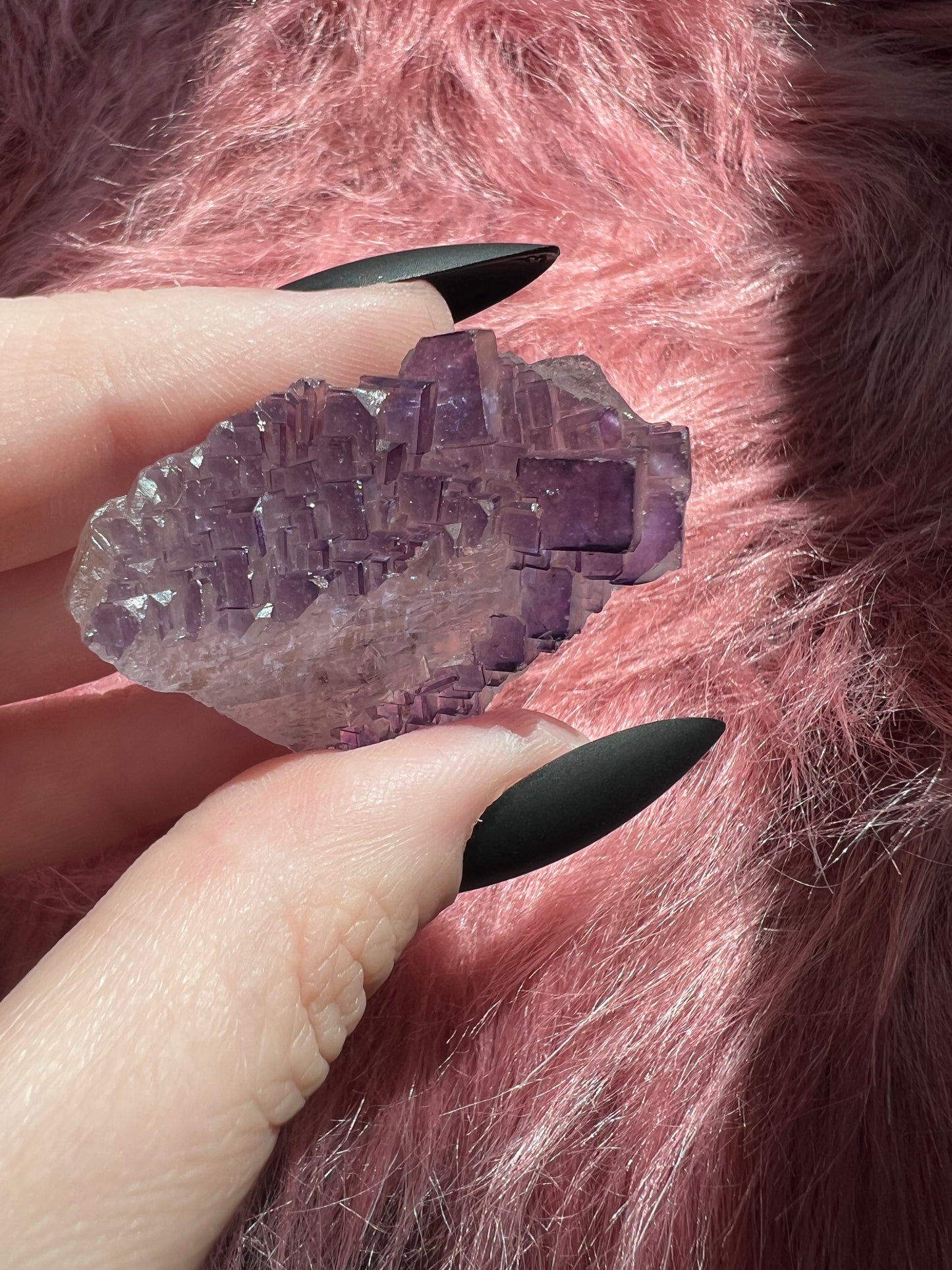 ONE (1) Stunning Fluorite Specimen with Case