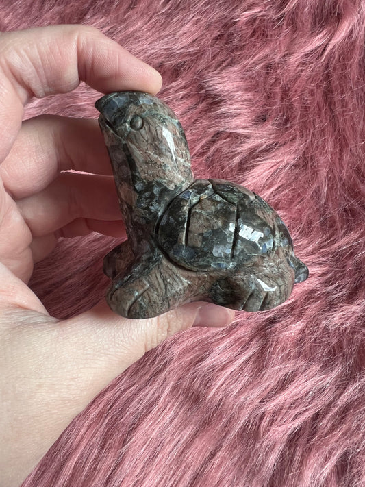 Stunning High Quality Small Que Sera Turtle Carving