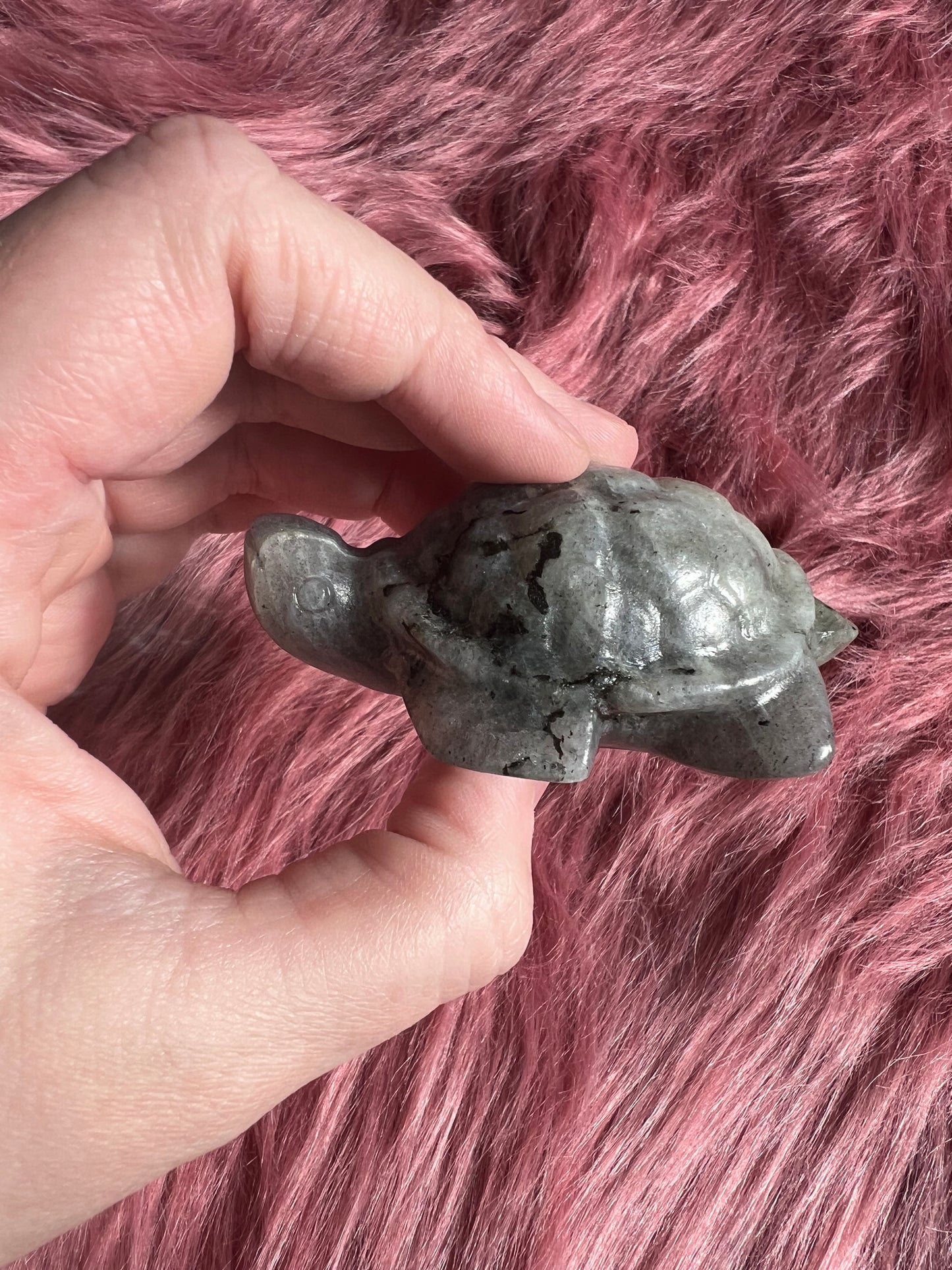 Stunning High Quality Small Labradorite Turtle Carving