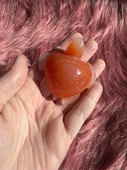 Stunning High Quality Small Carnelian Turtle Carving