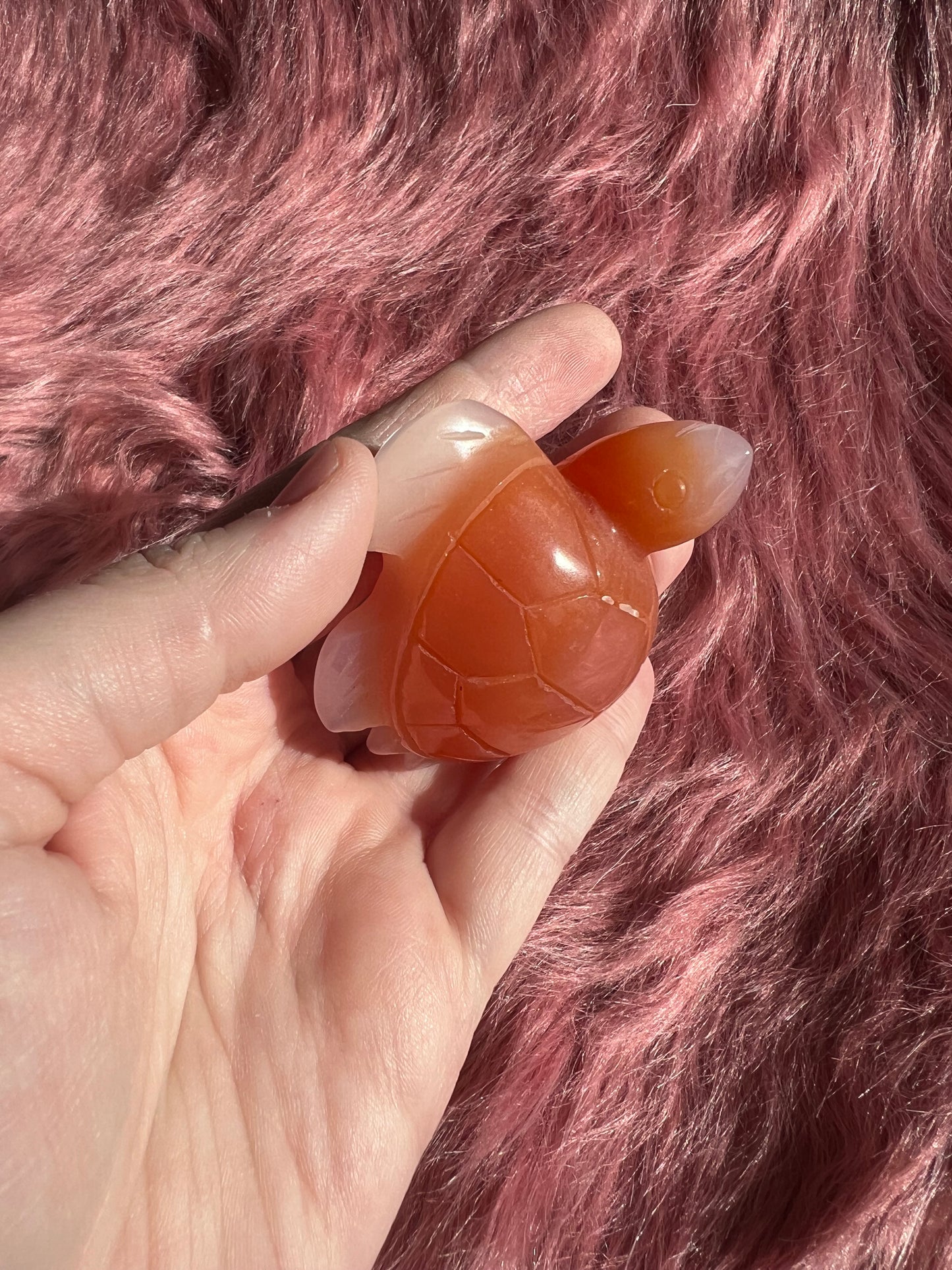 Stunning High Quality Small Carnelian Turtle Carving