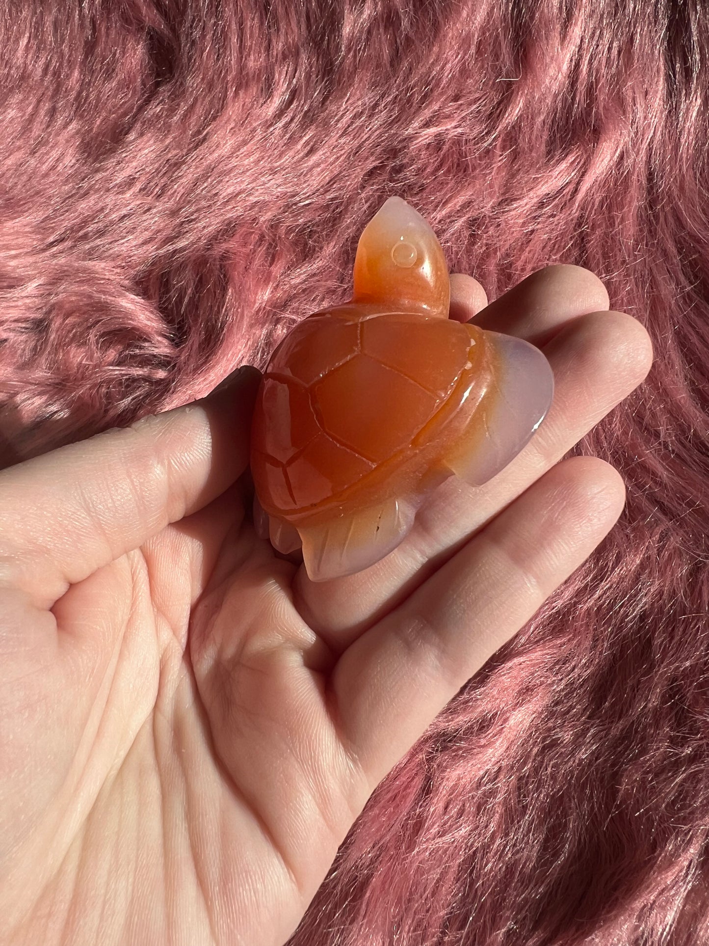 Stunning High Quality Small Carnelian Turtle Carving