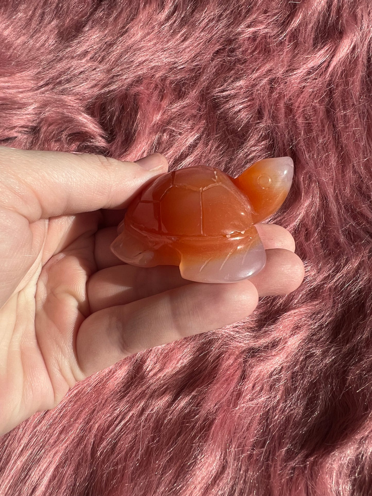 Stunning High Quality Small Carnelian Turtle Carving