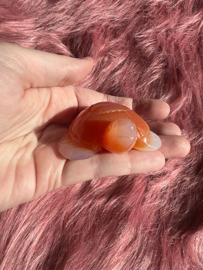 Stunning High Quality Small Carnelian Turtle Carving