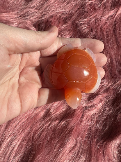 Stunning High Quality Small Carnelian Turtle Carving