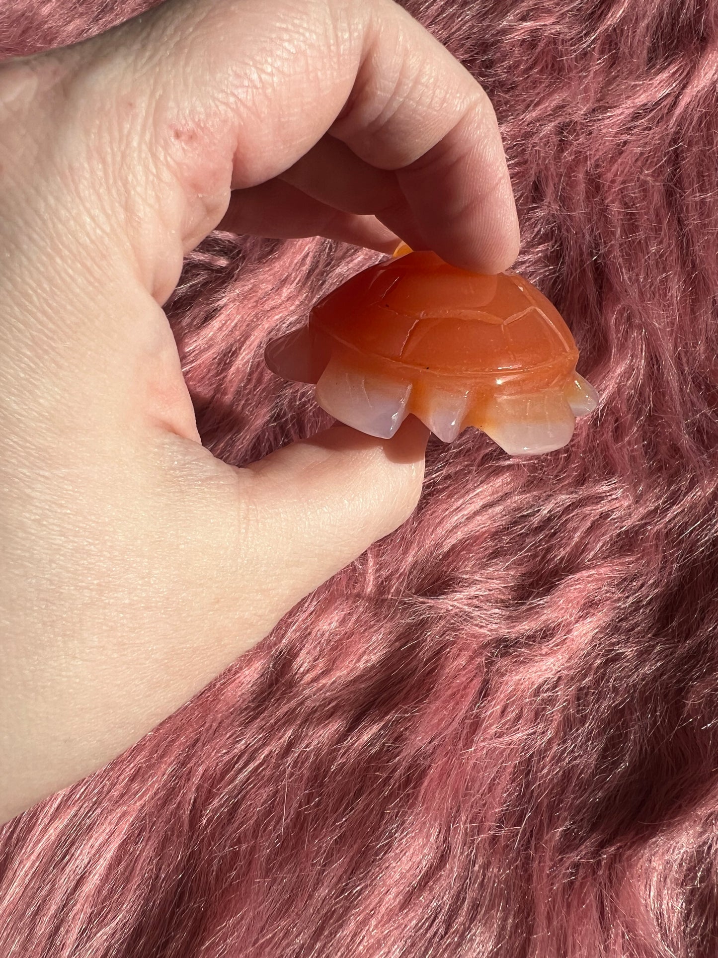 Stunning High Quality Small Carnelian Turtle Carving