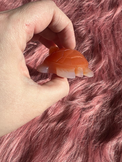 Stunning High Quality Small Carnelian Turtle Carving