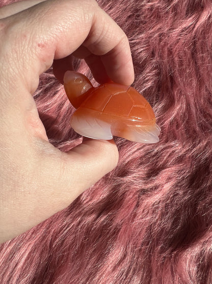 Stunning High Quality Small Carnelian Turtle Carving