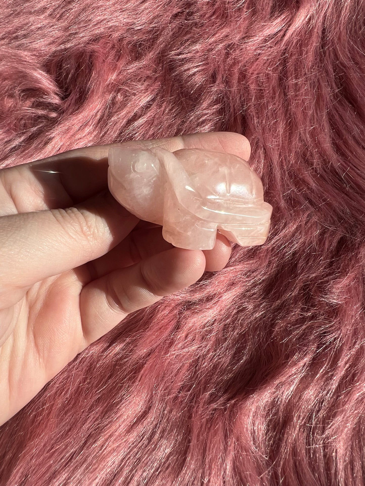 Stunning High Quality Small Rose Quartz Turtle Carving